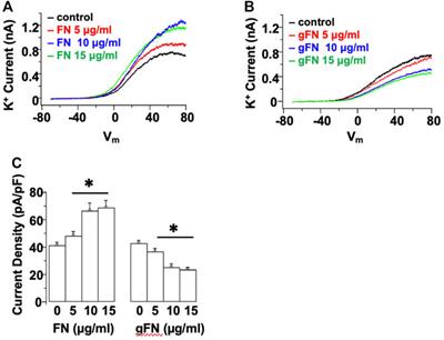 Modification of Fibronectin by Non-Enzymatic Glycation Impairs K+ Channel Function in Rat Cerebral Artery Smooth Muscle Cells